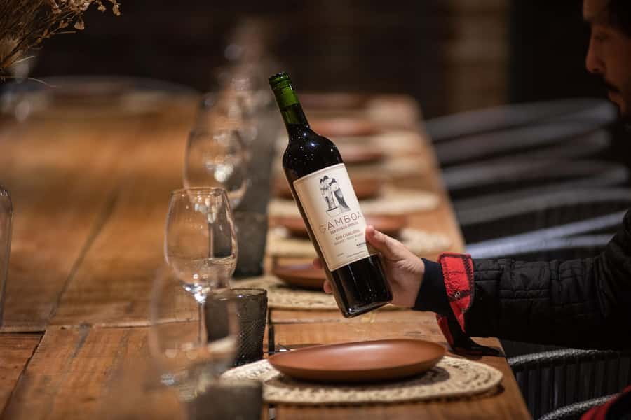 Buenos Aires: Wine Tasting and Lunch at Bodega Gamboa - Key things I’d plan around