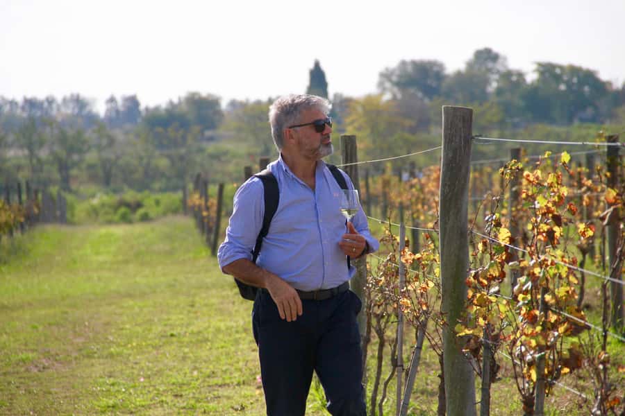 Buenos Aires: Wine Tasting and Lunch at Bodega Gamboa - So, should you book? My recommendation