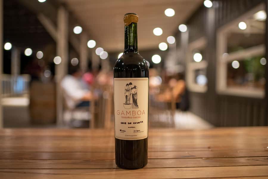 Buenos Aires: Wine Tasting and Lunch at Bodega Gamboa - Lunch, dessert, and food pacing that keeps the day relaxed