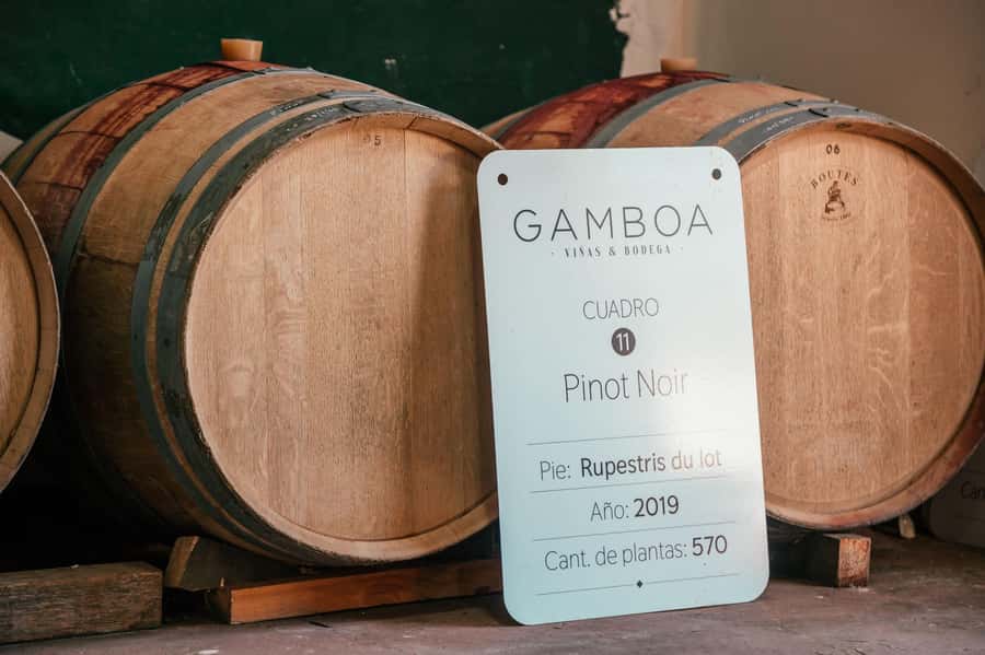Buenos Aires: Wine Tasting and Lunch at Bodega Gamboa - How long 7 hours feels: timing, walking, and group size reality