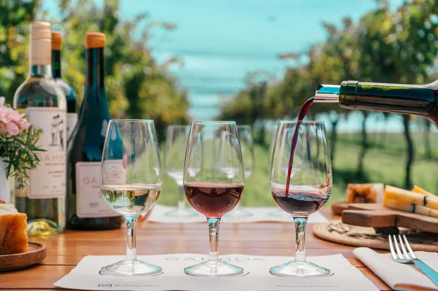 Buenos Aires: Wine Tasting & Lunch at Gamboa Vineyard - Key Things That Make This Day Trip Work