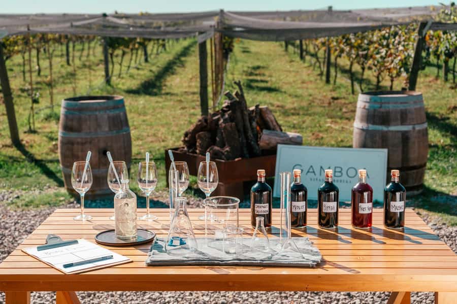 Buenos Aires: Wine Tasting & Lunch at Gamboa Vineyard - Welcome Sparkling Wine and the Guided Vineyard Tour With Two Tastings