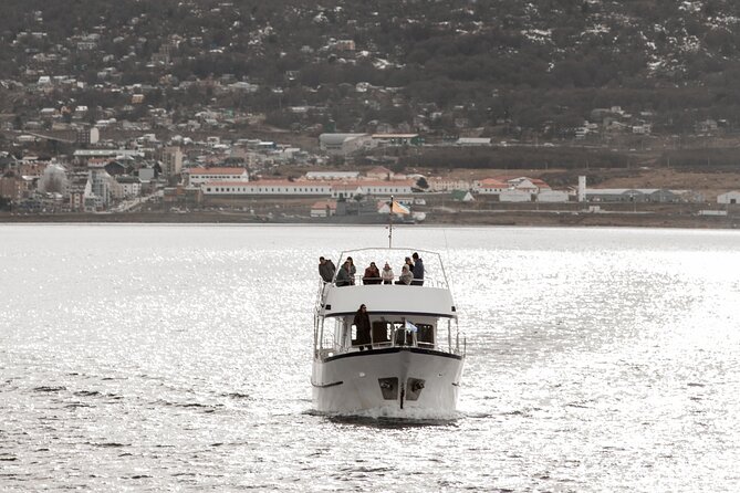Catamaran Tour through the Beagle Channel and Penguins in Isla Martillo - Isla de los Lobos: sea lions on the Bridges archipelago