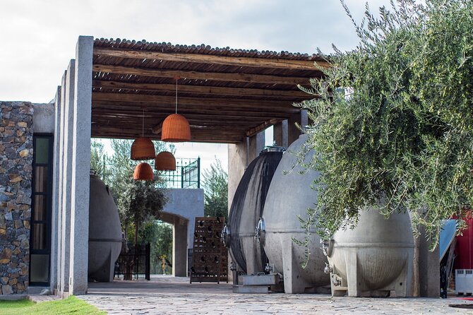 Catena Zapata Winery, Lunch and Private Transportation - What you actually learn in those tastings (without feeling like a class)