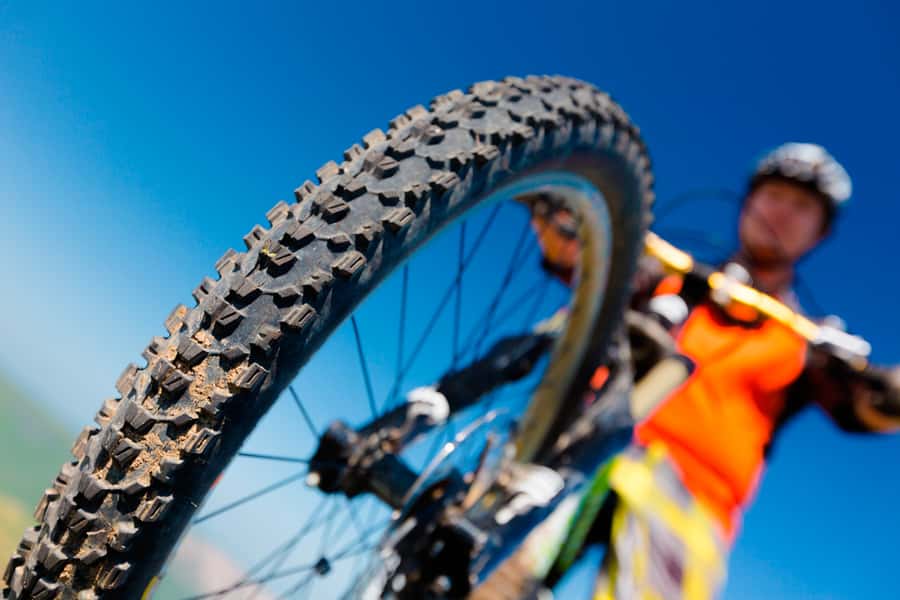City Bike Tour in Palermo and Recoleta - Bosques de Palermo and the Rosedal: your outdoor reset in Buenos Aires