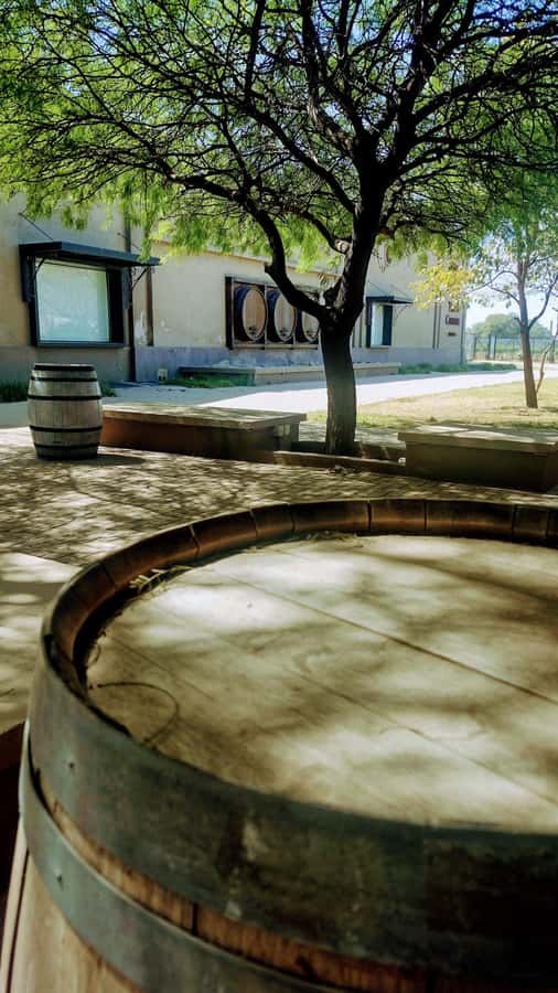 Córdoba: Wine Tour Privado a Colonia Caroya - Día completo - Key moments that make this tour worth your time