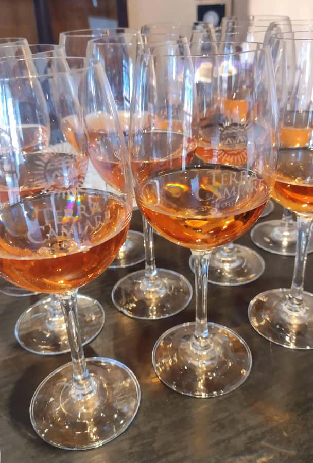 Córdoba: Wine Tour Privado a Colonia Caroya - Día completo - Stop 2: comparing the wineries, not just collecting more wine