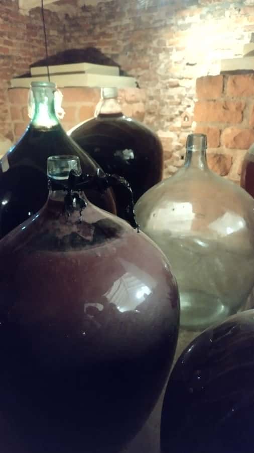 Córdoba: Wine Tour Privado a Colonia Caroya - Día completo - What you really learn, beyond the wine