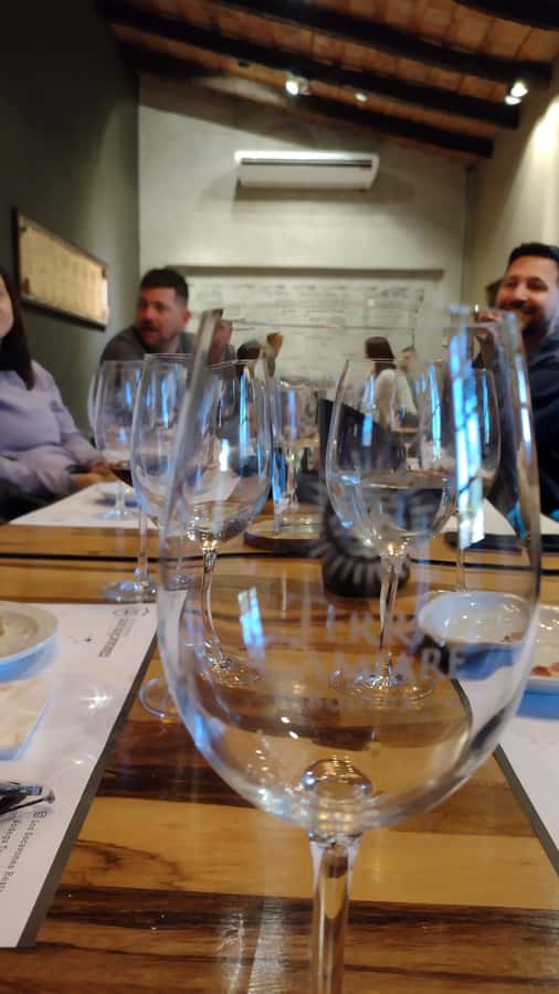 Córdoba: Wine Tour Privado a Colonia Caroya - Día completo - Small group, bilingual guidance, and the sommelier touch