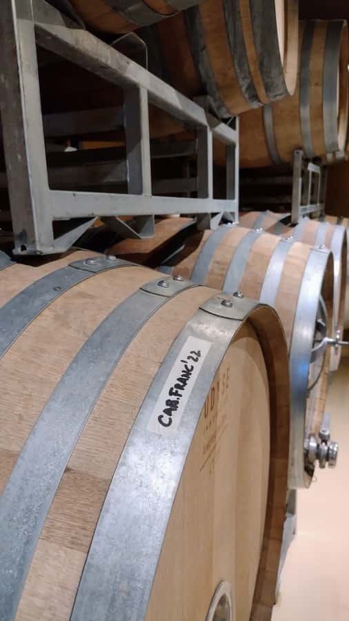 Córdoba: Wine Tour Privado a Colonia Caroya - Día completo - The 8-hour flow: what happens from pickup to drop-off