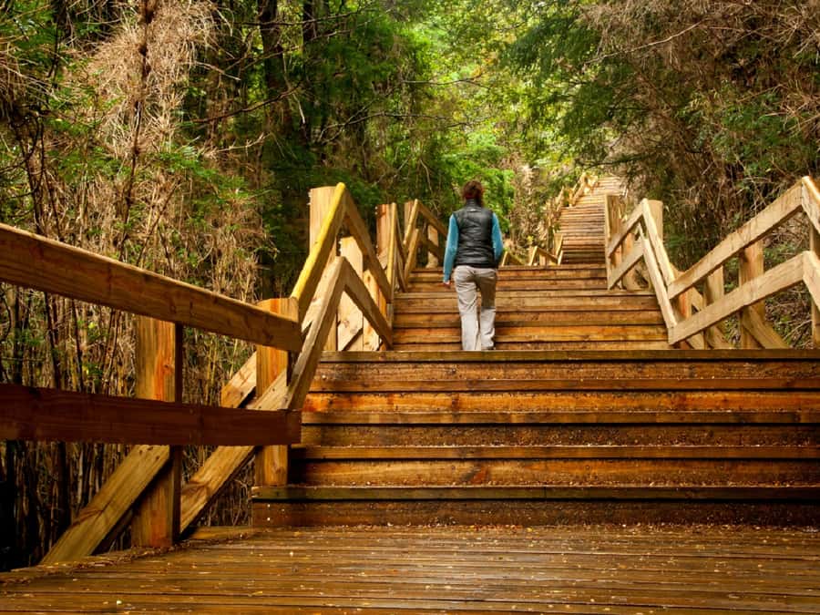 Crossing to Puerto Blest and Cascada de los Cántaros - Key highlights worth your attention