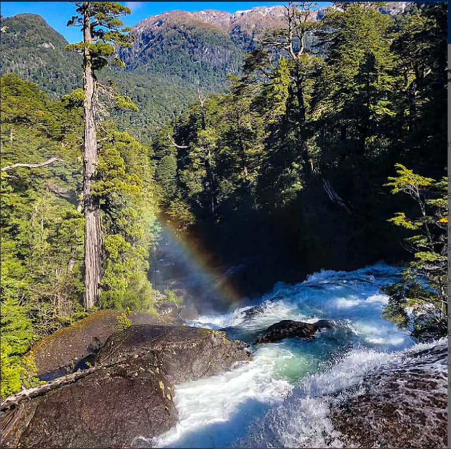 Crossing to Puerto Blest and Cascada de los Cántaros - Why Puerto Blest and Cascada de los Cántaros feel far from the city