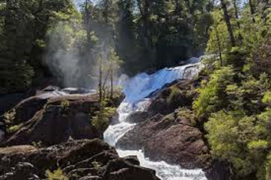 Crossing to Puerto Blest and Cascada de los Cántaros - Should you book Puerto Blest and Cascada de los Cántaros?