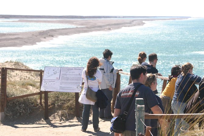 Cruise Shore Excursion Peninsula Valdes - Pto Madryn - Patagonia - Argentina - Should you book Peninsula Valdes from Puerto Madryn?