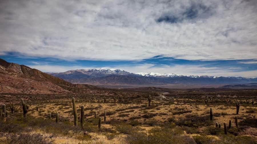 Day Trip to Cachi from Salta - Who This Day Trip Suits Best, and Who Should Rethink It