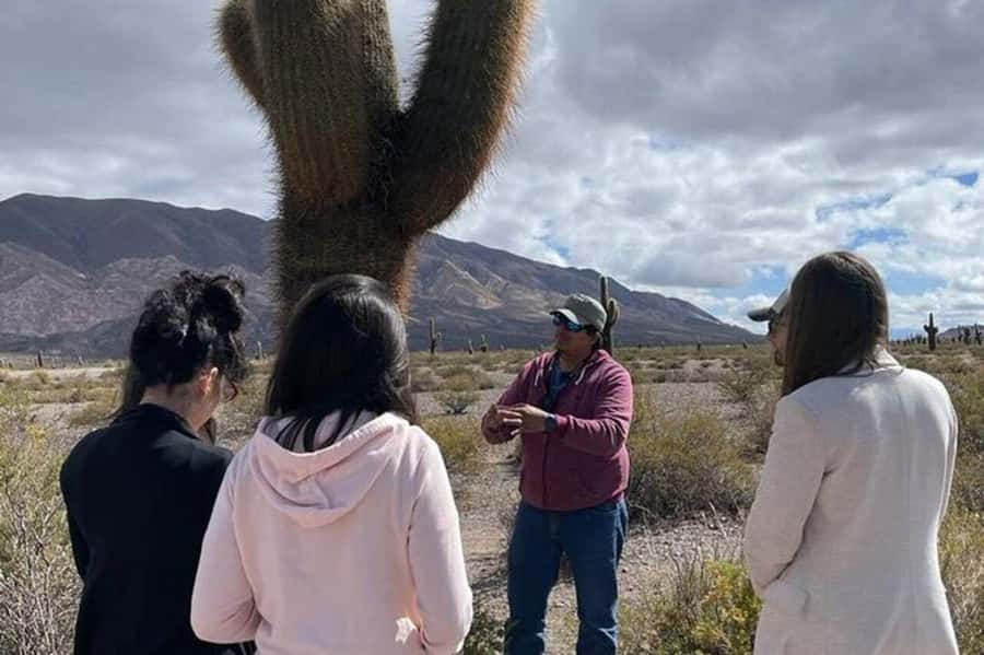Day Trip to Cachi from Salta - Road to Cachi: When the Bus View Is the Main Attraction