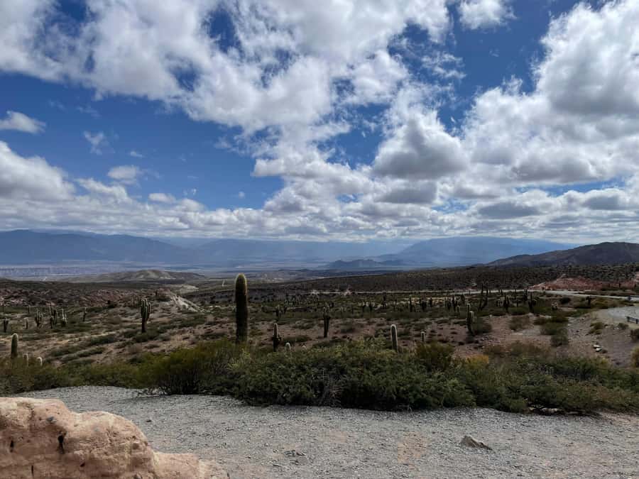 Day Trip to Cachi from Salta - Recta de Tin-Tin: Traveling a Straight Line With Inca Connections