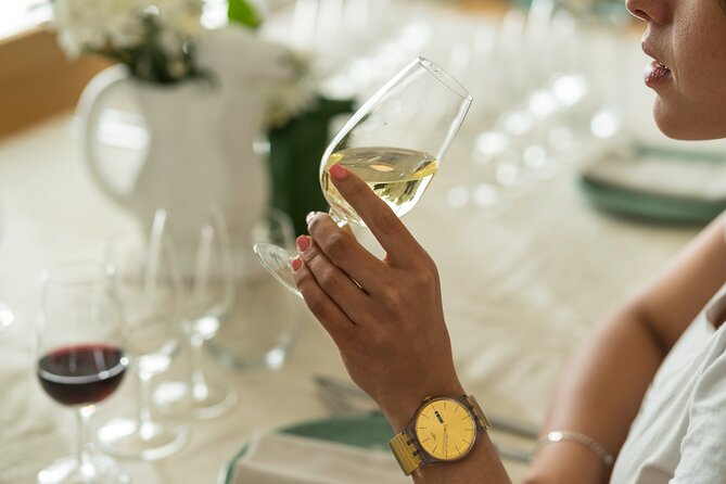 Discover Argentine Wines Paired with Delicious Tapas - Where the tasting happens in Buenos Aires