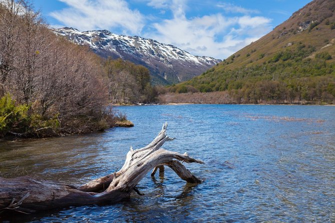 Discover Cerro Tronador with Ventisquero Negro Glacier - The Coach Route: Sit Back, Look Out, and Let the Driver Do the Work