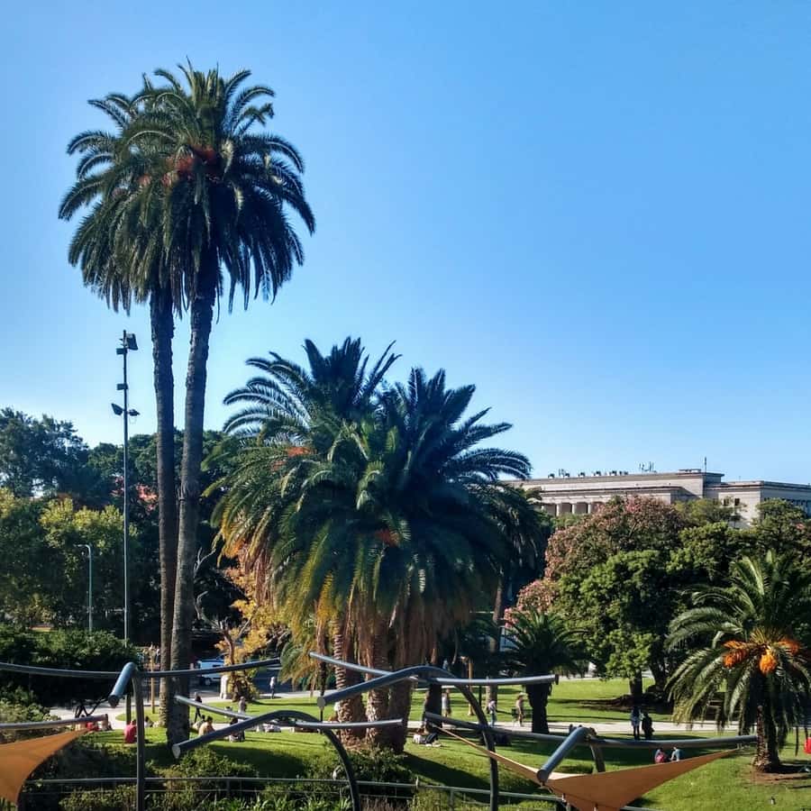 Discover Recoleta, Buenos Aires' Little Paris - Plaza Francia and Centro Cultural Recoleta, where the French theme gets real