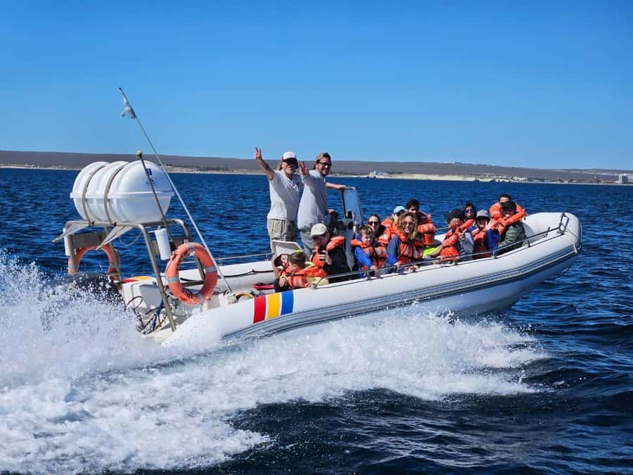 Dolphin Watching Adventure - Key highlights you should care about