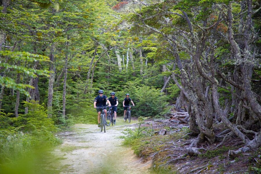 E-BIKE Beagle Viewpoint - Difficulty Levels and Who This Fits Best