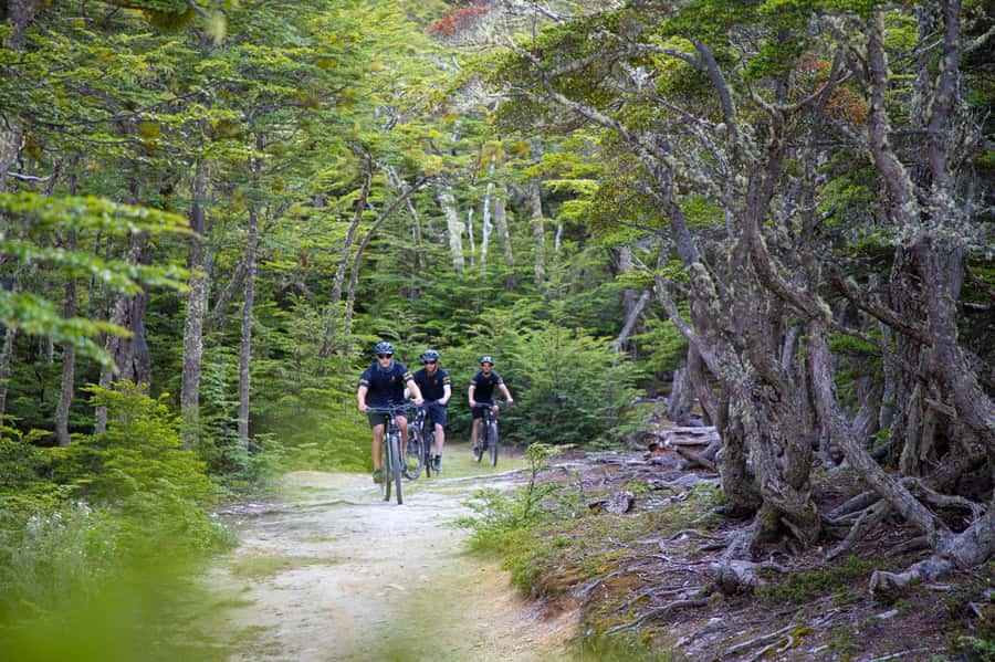 E-BIKE Beagle Viewpoint - What You Get for Your $135: Value That Makes Sense