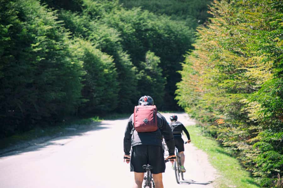 E-BIKE Beagle Viewpoint - Meeting Point, Timing, and the Bike Setup Reality