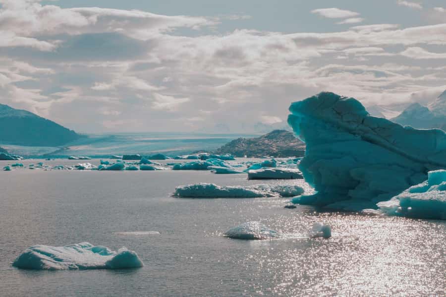 El Calafate: Gourmet Navigation Upsala & Spegazzini Glaciers - Price and logistics: what $256 really buys (and what it does not)