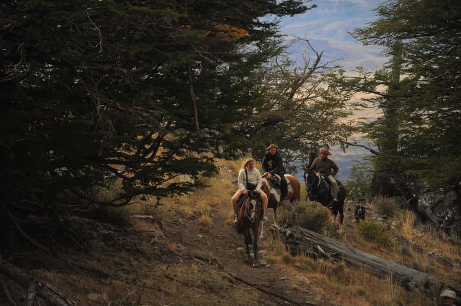 El Calafate: Horseback riding in Cerro Frias - Who should book Cerro Friás on horseback, and who should skip it