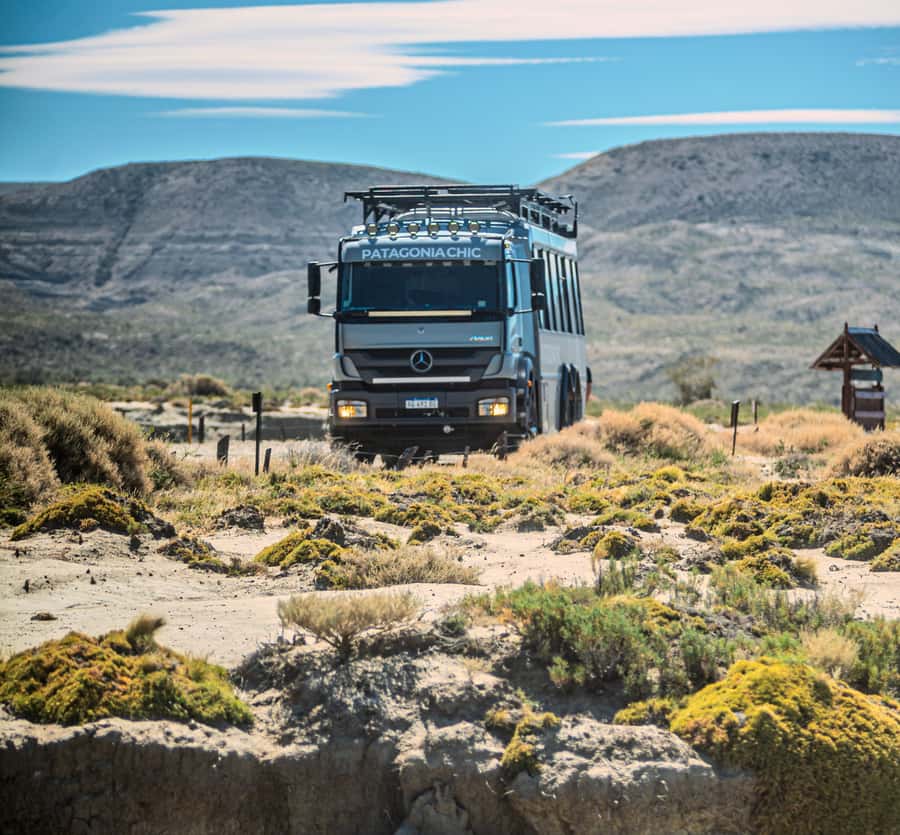 El Calafate: Monte León 4x4 Wolves and Penguins Excursion - Who should book, and who should skip