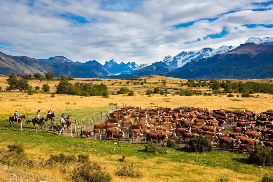 El Calafate: Nibepo Aike Ranch with Horseback Riding - Nibepo Aike in the quincho, welcome first, then the working ranch tour