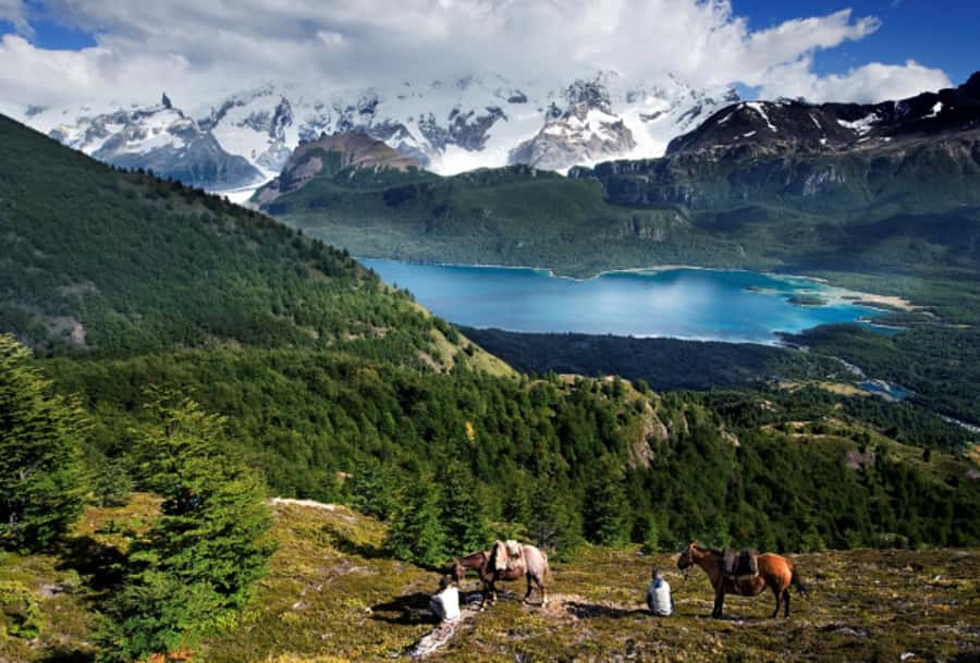 El Calafate: Nibepo Aike Ranch with Horseback Riding - Price and logistics, is $175 worth your day?