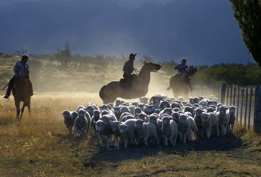 El Calafate: Nibepo Aike Ranch with Horseback Riding - Should you book Nibepo Aike Ranch with horseback riding?