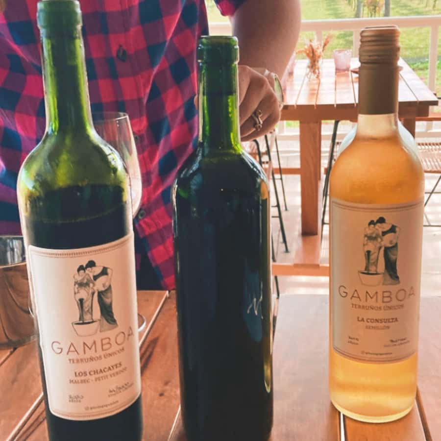 Enjoy a Rural Experience in a Vineyard near Buenos Aires - The Guided Vineyard Tour and Wine-Making Walkthrough