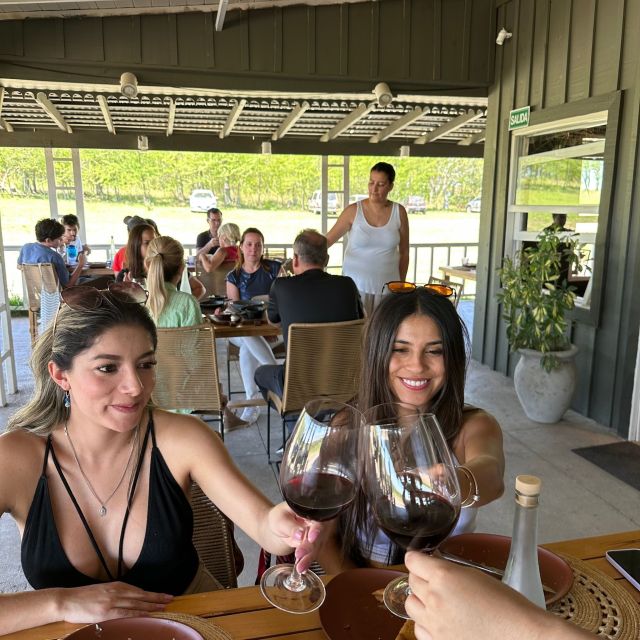 Enjoy a Rural Experience in a Vineyard near Buenos Aires - Wine Tasting and Food Pairings That Make Dinner Feel Like a Lesson