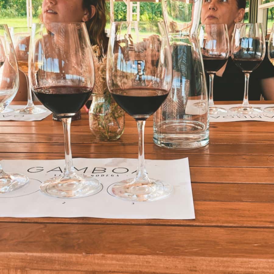Enjoy a Rural Experience in a Vineyard near Buenos Aires - The 4-Course Gourmet Lunch: Picada to Dessert