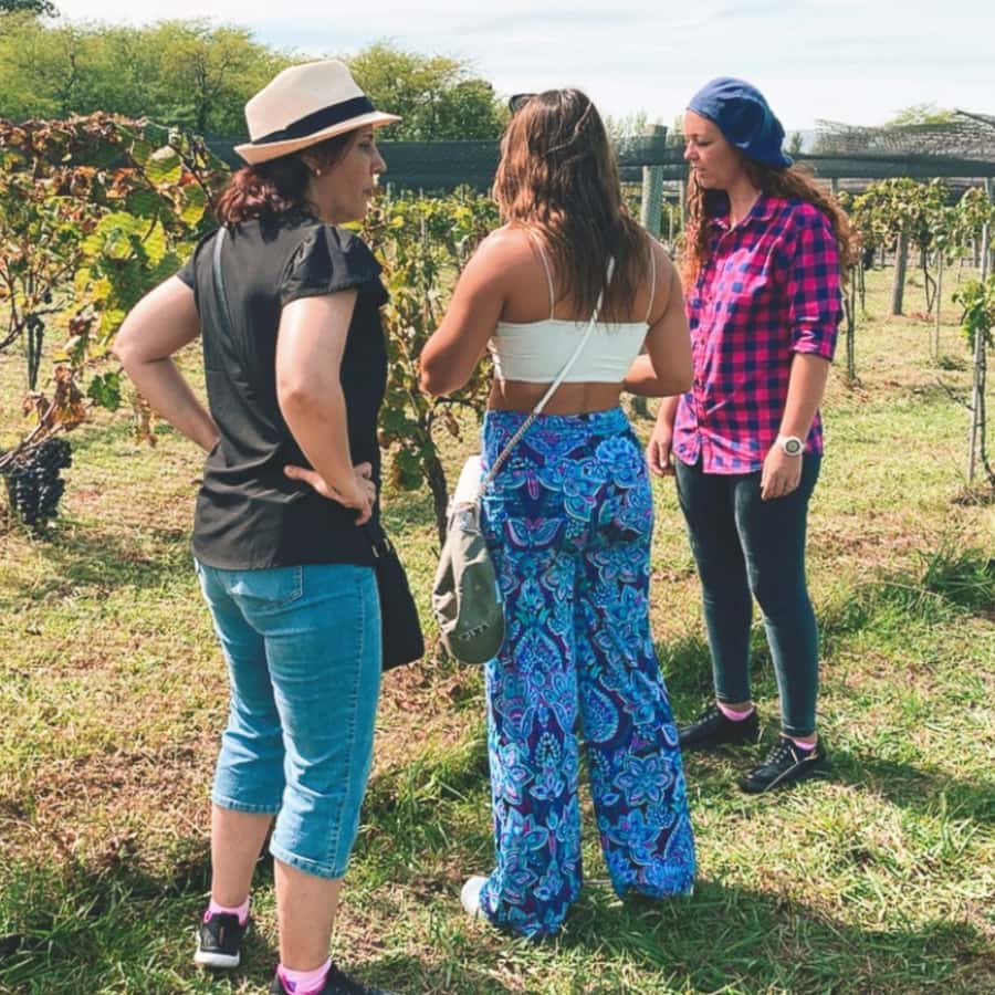 Enjoy a Rural Experience in a Vineyard near Buenos Aires - Value and Price: What $264 Buys You