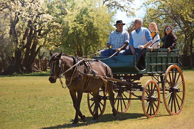 Estancia Gaucho Day at Buenos Aires - Inside the estancia: where the day turns into asado, rides, and folklore