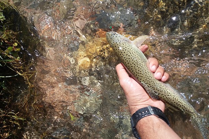 Fly Fishing on Private Andean River Including Barbecue Lunch - From Mendoza to the High Sierras: The Day’s Shape
