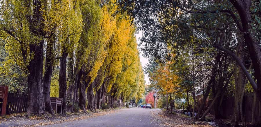 From Bariloche: Chico Circuit & Colonia Suiza Tour - The Viewpoint and Puerto Panuelo Stops: Where You Grab Photos and Breathing Room