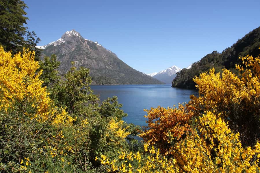 From Bariloche: Half-Day Circuito Chico Sightseeing Tour - What You See From Above: Lakes, Forest Area, and the National Park Feel