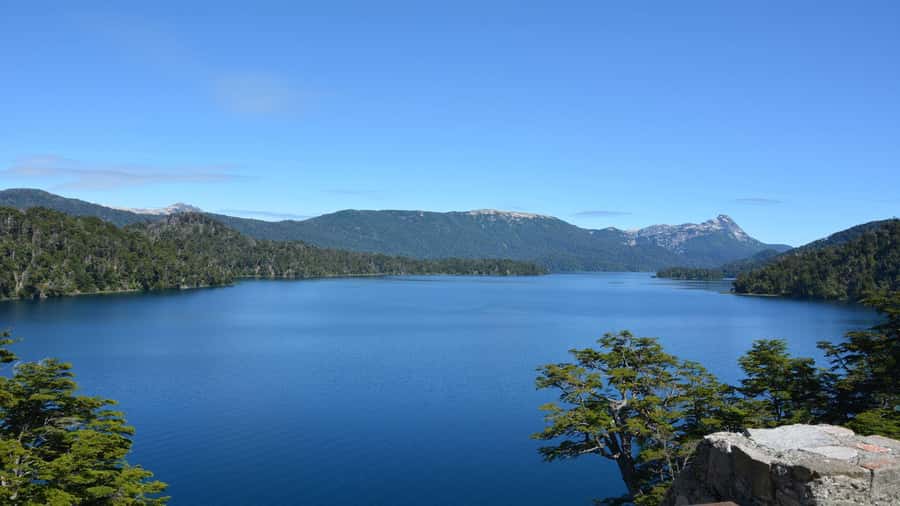 From Bariloche: San Martin de los Andes and 7 Lakes Circuit - Villarino, coihues forest, and the Lake Falkner connection