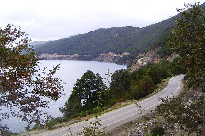 From Bariloche: San Martín de los Andes by The 7 Lakes Route - Guide style and language: get what you paid for