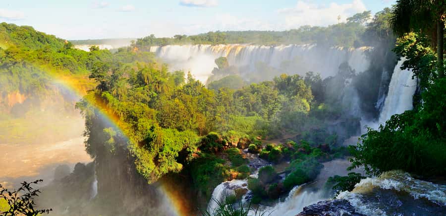 From Buenos Aires: 3-Day Iguazu Falls Tour with Airfare - Brazilian side day: jungle paths, ecological train, and misty viewpoints