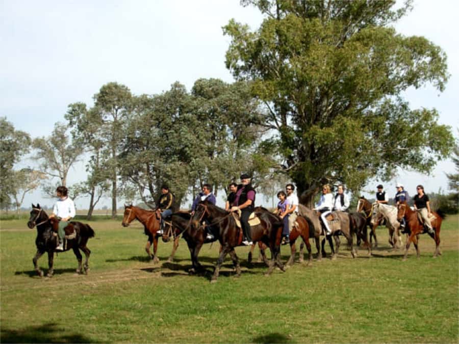 From Buenos Aires: Estancia Don Silvano Tour with Lunch. - A Pampas Day Trip That Starts with a Van and Ends near the Obelisco