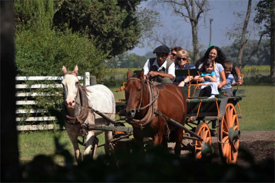 From Buenos Aires: Estancia Don Silvano Tour with Lunch. - Arriving the Ranch Way: Empanadas, Drinks, and a Guided Tour of the Grounds