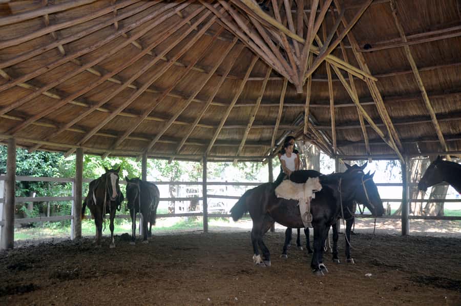 From Buenos Aires: Estancia Don Silvano Tour with Lunch. - Price and Logistics: Is $165 Good Value?