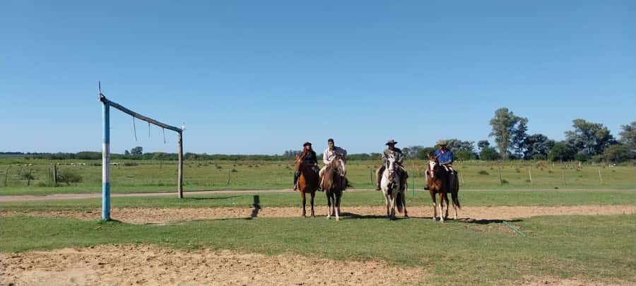 From Buenos Aires: Estancia Don Silvano Tour with Lunch. - Who This Estancia Tour Fits Best (and Who Might Skip It)