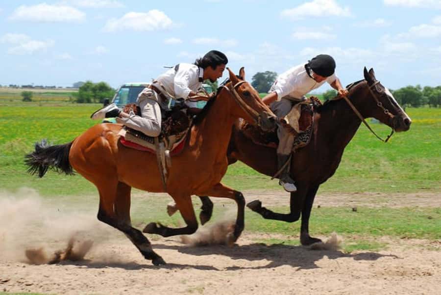 From Buenos Aires: Estancia Don Silvano Tour with Lunch. - Don Silvano’s Story: Italian Roots, Irish Land, Victorian-Style Casco